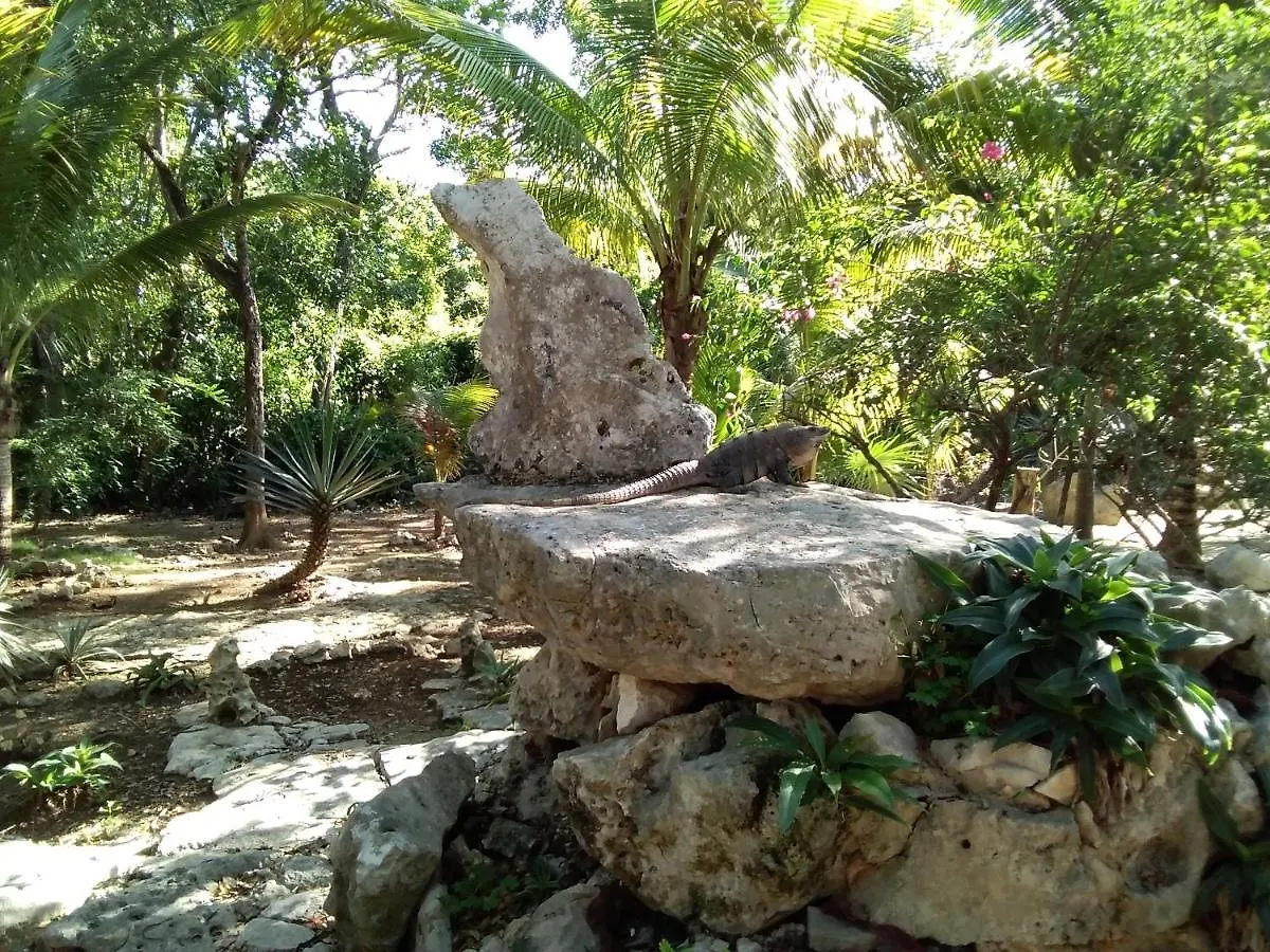 Villa Tortugas Akumal Venkovský dům